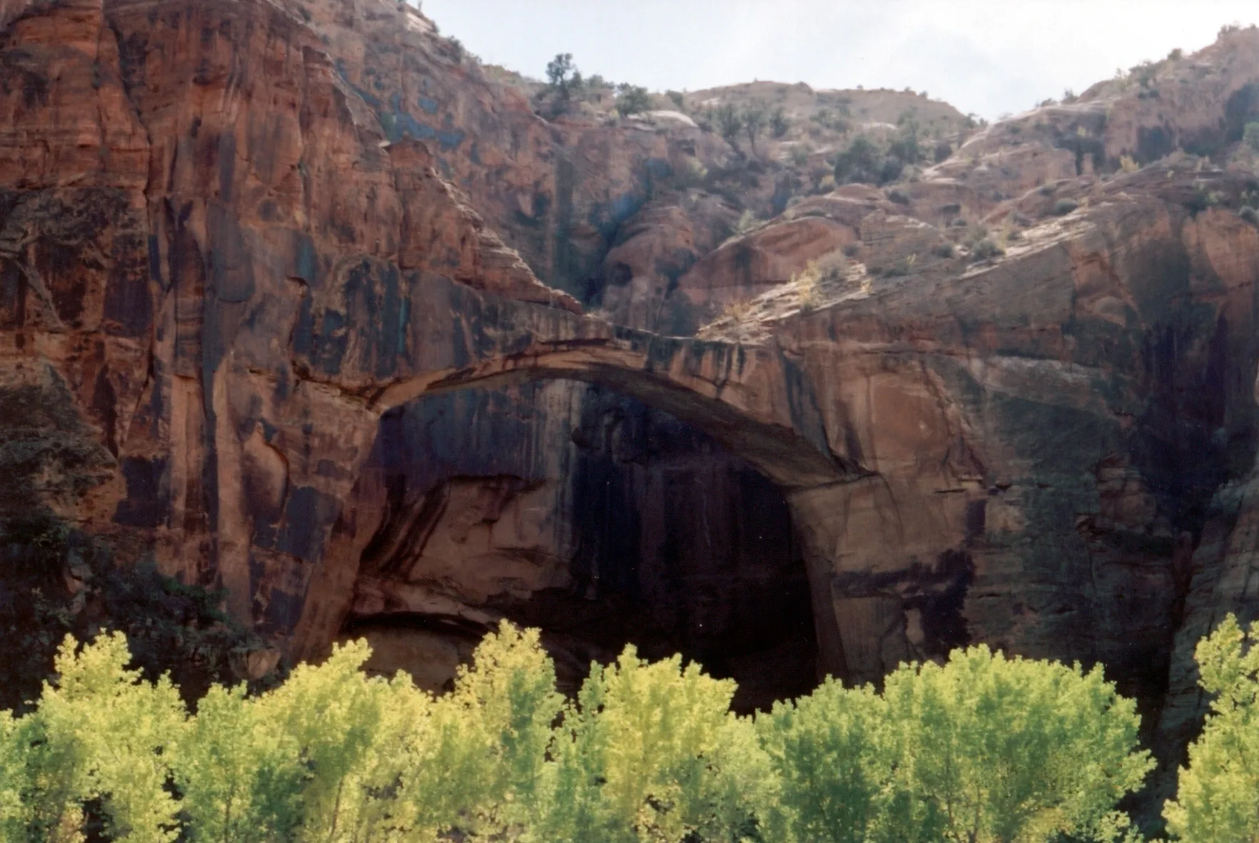 Escalante River Gorge